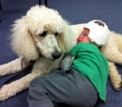 Therapy Dog Visits