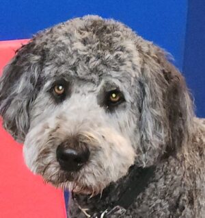 Winnie Witkin-Weinstein 