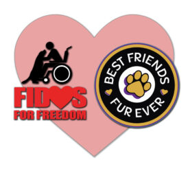 Best Friends Furever