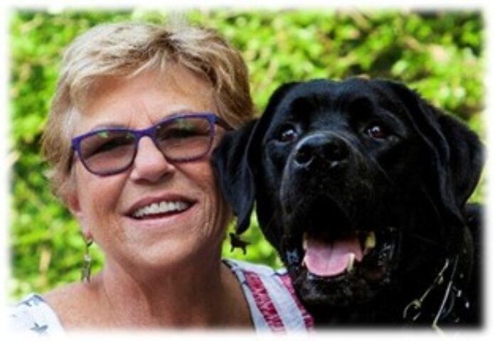 diane-noah